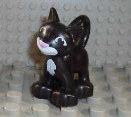 dupcat1pb02